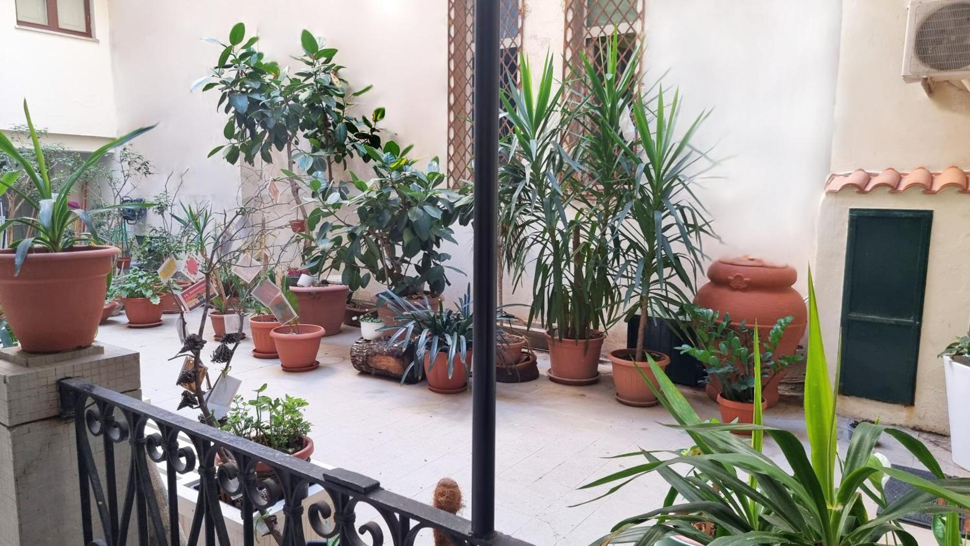 Loft Magna Grecia Reggio Calabria Centro Storico A 3 Minuti A Piedi Dal Mare Reggio di Calabria Exterior foto